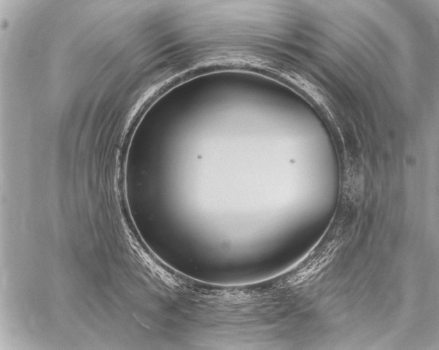 X0000060240799200510281118