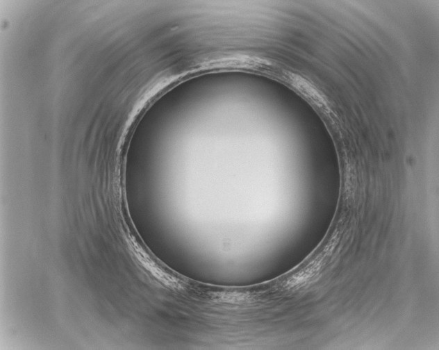 X0000060240800200510281118