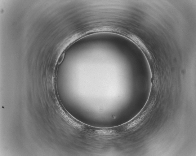 X0000060240805200510281117