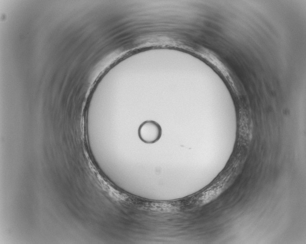 X0000060240807200510281117