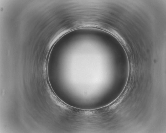 X0000060240814200510281117