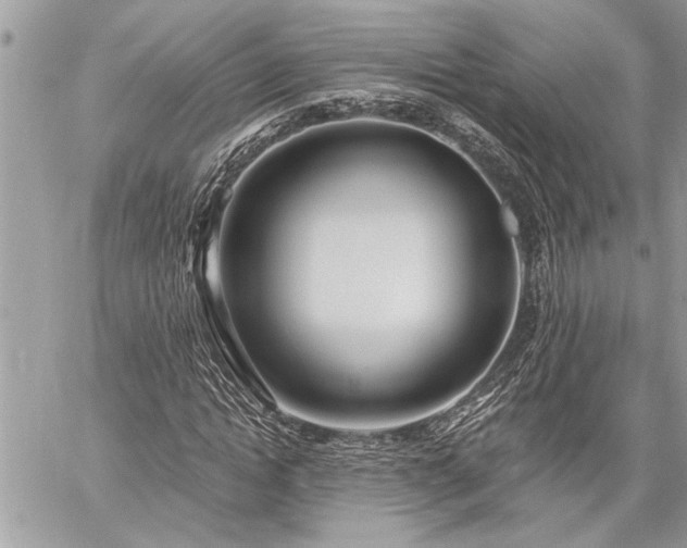 X0000060240822200510281117