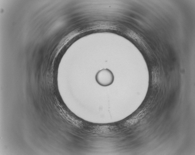 X0000060240828200510281117