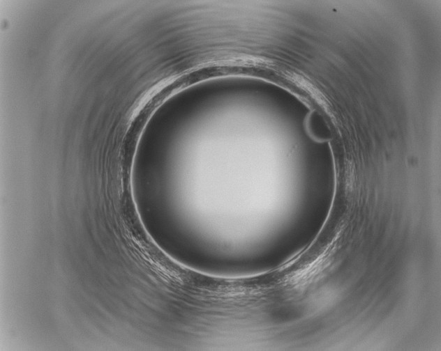 X0000060240829200510281117