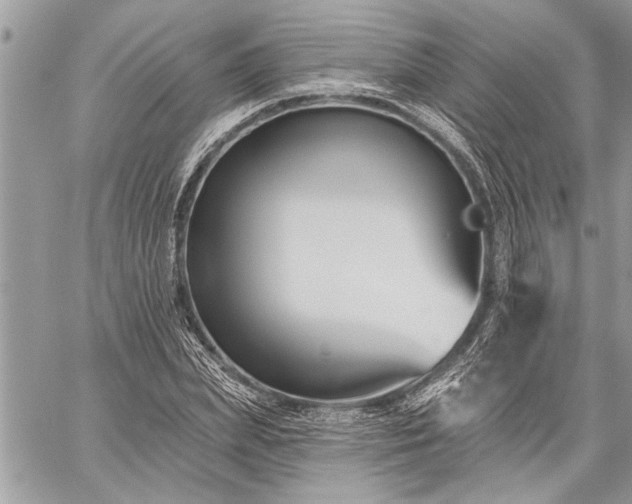 X0000060240831200510281117