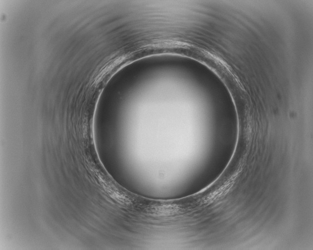 X0000060240833200510281117