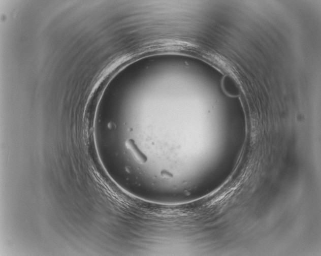 X0000060240835200510281117