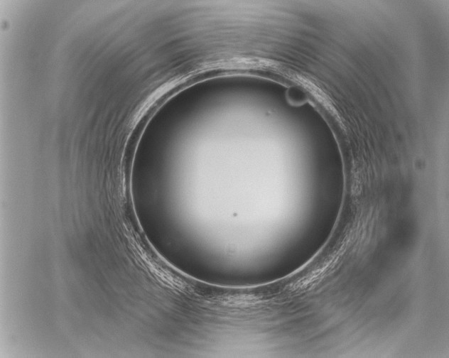 X0000060240837200510281117