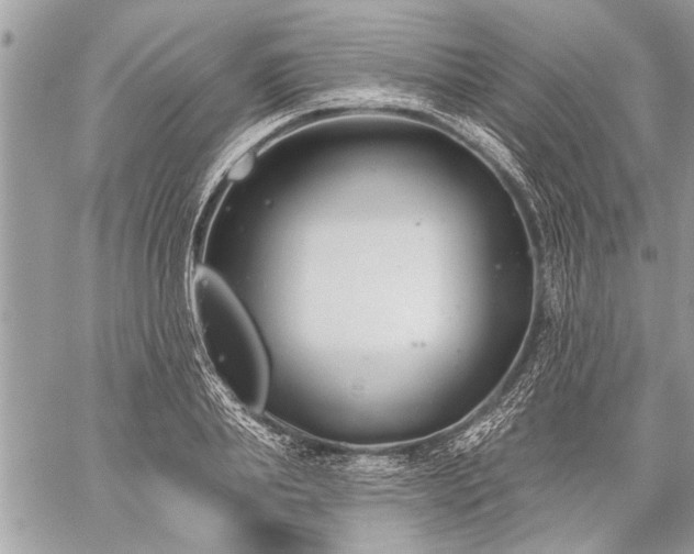 X0000060240839200510281117