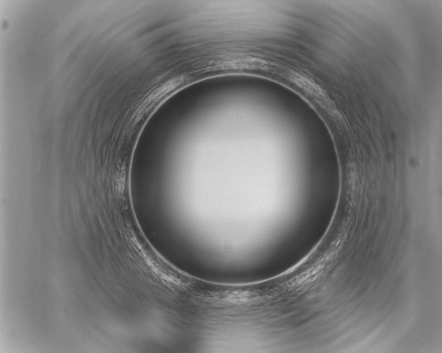 X0000060240841200510281117