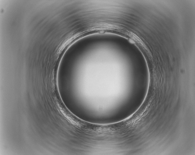 X0000060240842200510281117