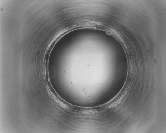 X0000060240843200510281117