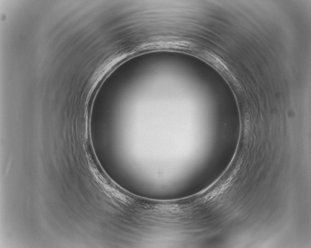 X0000060240844200510281117