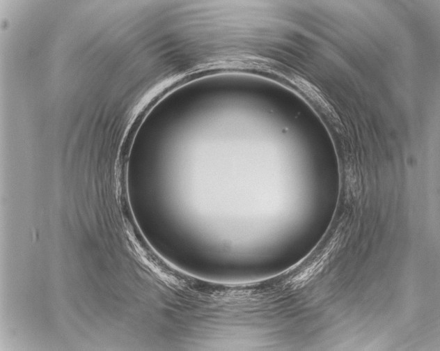 X0000060240846200510281117