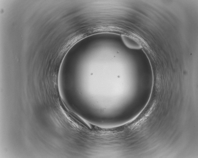 X0000060240849200510281117