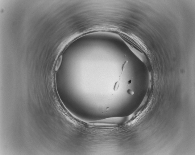 X0000060240854200510281117