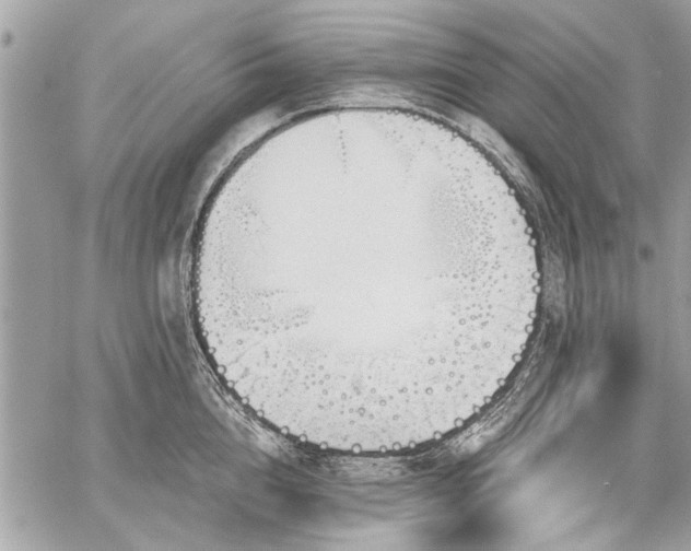 X0000060240856200510281117