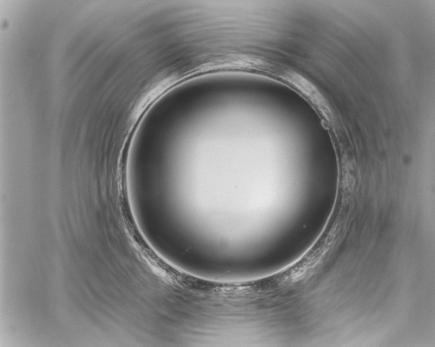 X0000060240858200510281117