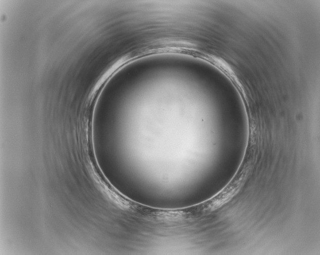 X0000060240859200510281117