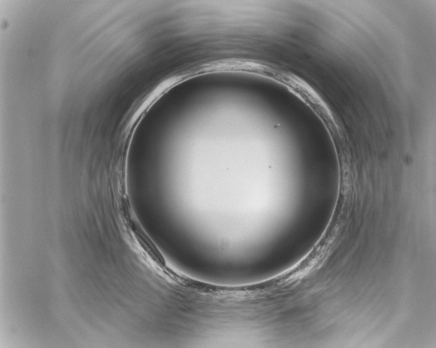 X0000060240860200510281117