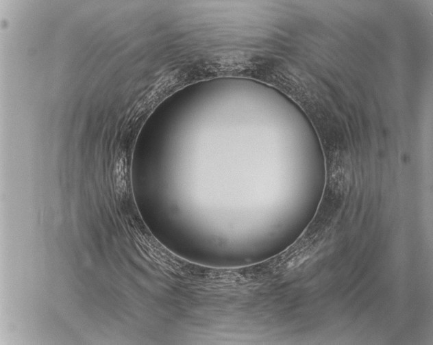 X0000060240866200510281116