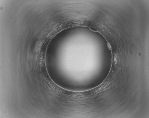 X0000060240867200510281116