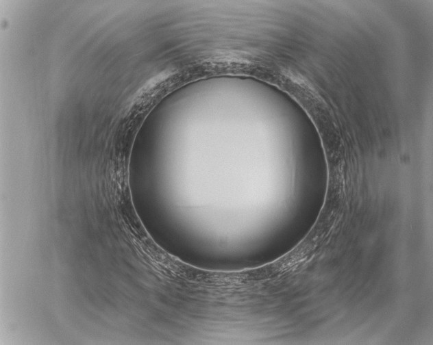 X0000060240870200510281116