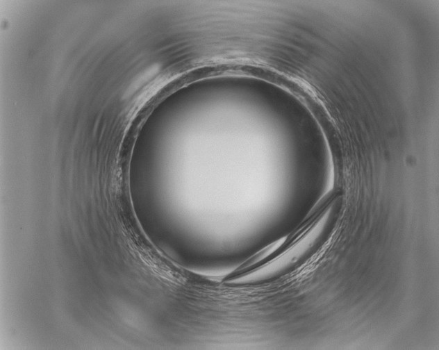 X0000060240879200510281116