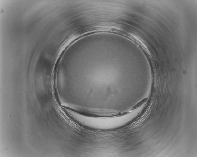 X0000060240899200510281116