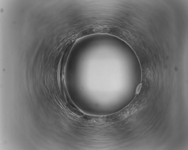 X0000060240914200510281115