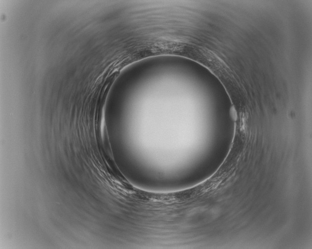 X0000060240915200510281115