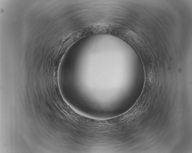 X0000060240964200510281115