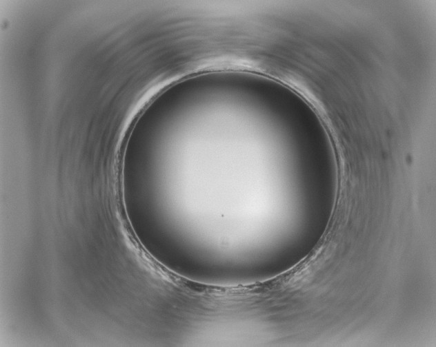 X0000060241008200510281114