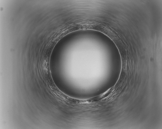 X0000060241010200510281113
