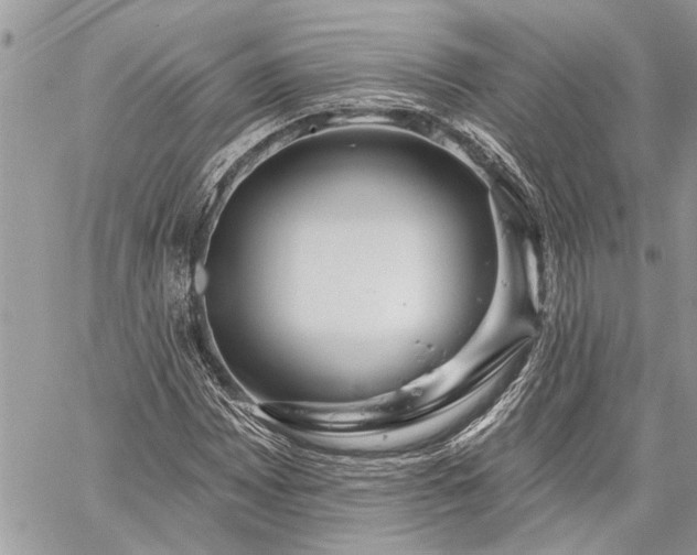 X0000060241065200510281113