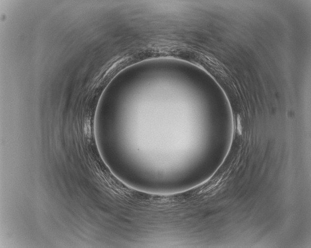 X0000060241155200510281112
