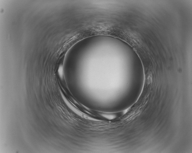 X0000060241156200510281112