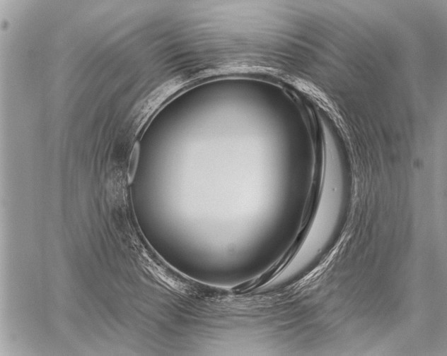 X0000060241177200510281111