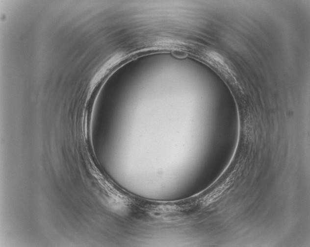 X0000060241180200510281111