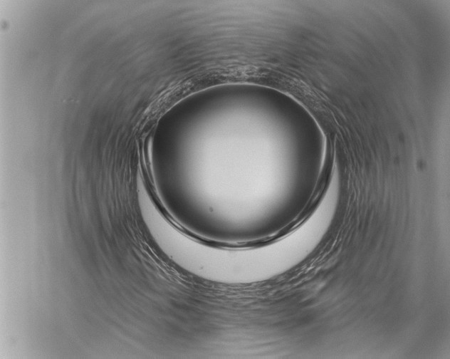 X0000060241202200510281110