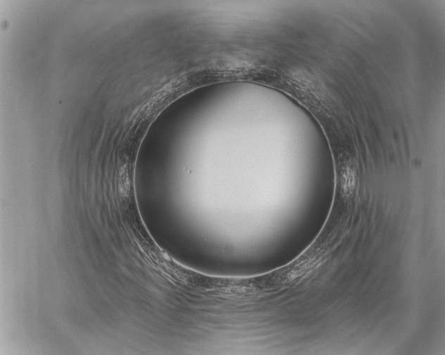 X0000060241204200510281110