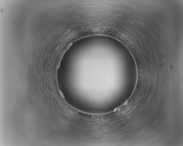 X0000060241249200510281110