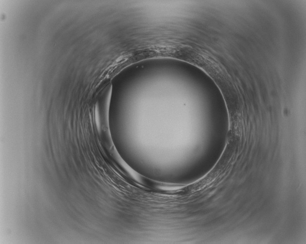 X0000060241298200510281109