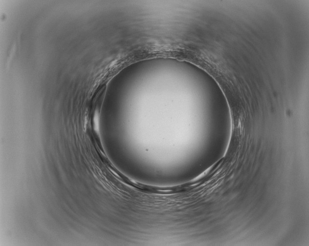 X0000060241348200510281108