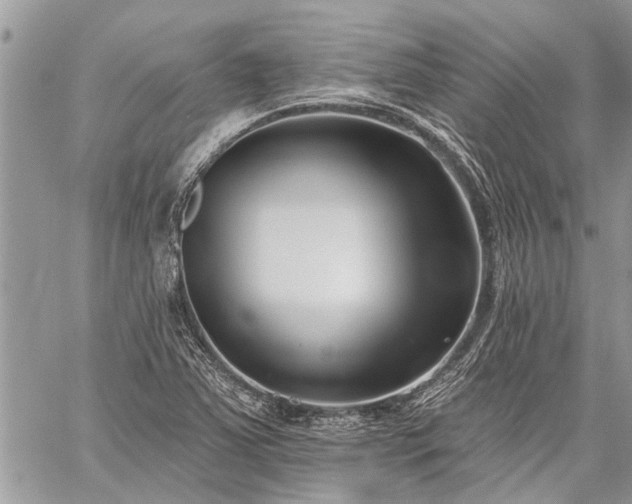 X0000060241363200510281108