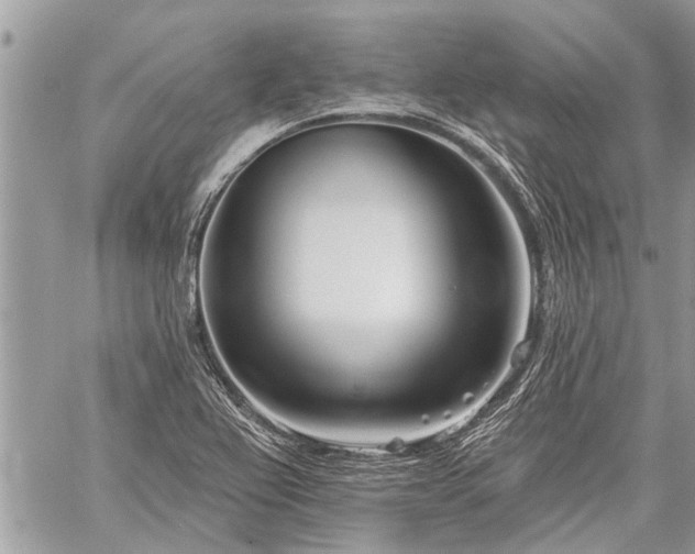 X0000060241367200510281108