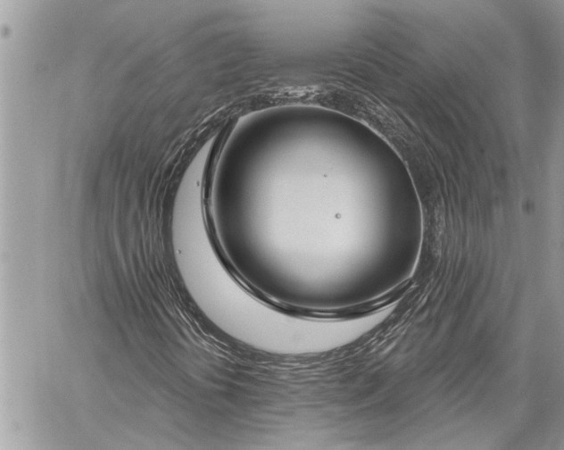 X0000060241394200510281107