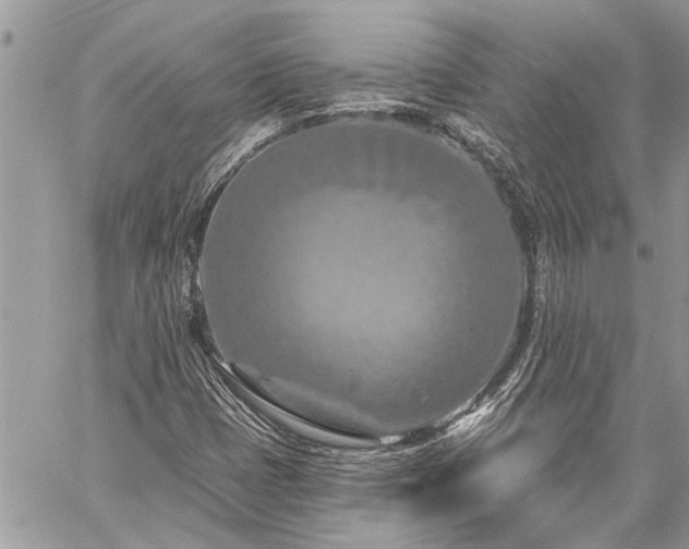 X0000060241401200510281107