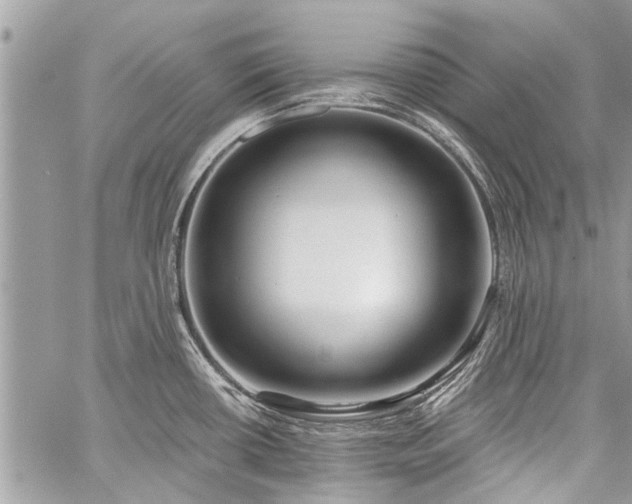 X0000060241434200510281108