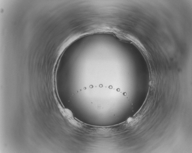 X0000060241439200510281108